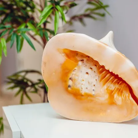 Apartamento Blizej Morza *